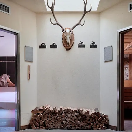 Boutique E Salvadori 4* Mezzana (Trentino Alto Adige)